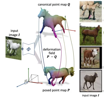 DualPM: Dual Posed-Canonical Point Maps for 3D Shape and Pose Reconstruction